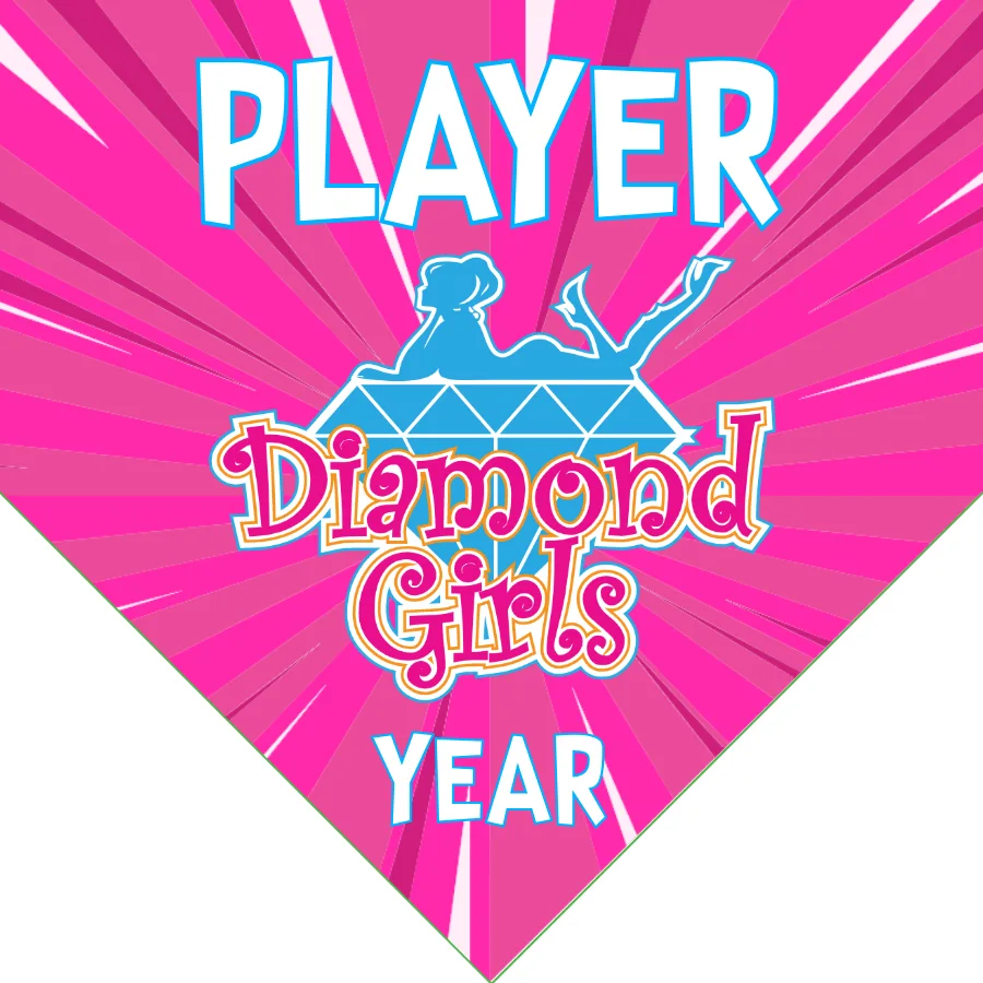 Diamond Girls 2 Softball Banner-softball-banners-with-pictures-images