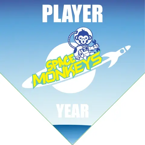 SpaceMonkey-brown-monkey-home-softball-banner-designs-picture