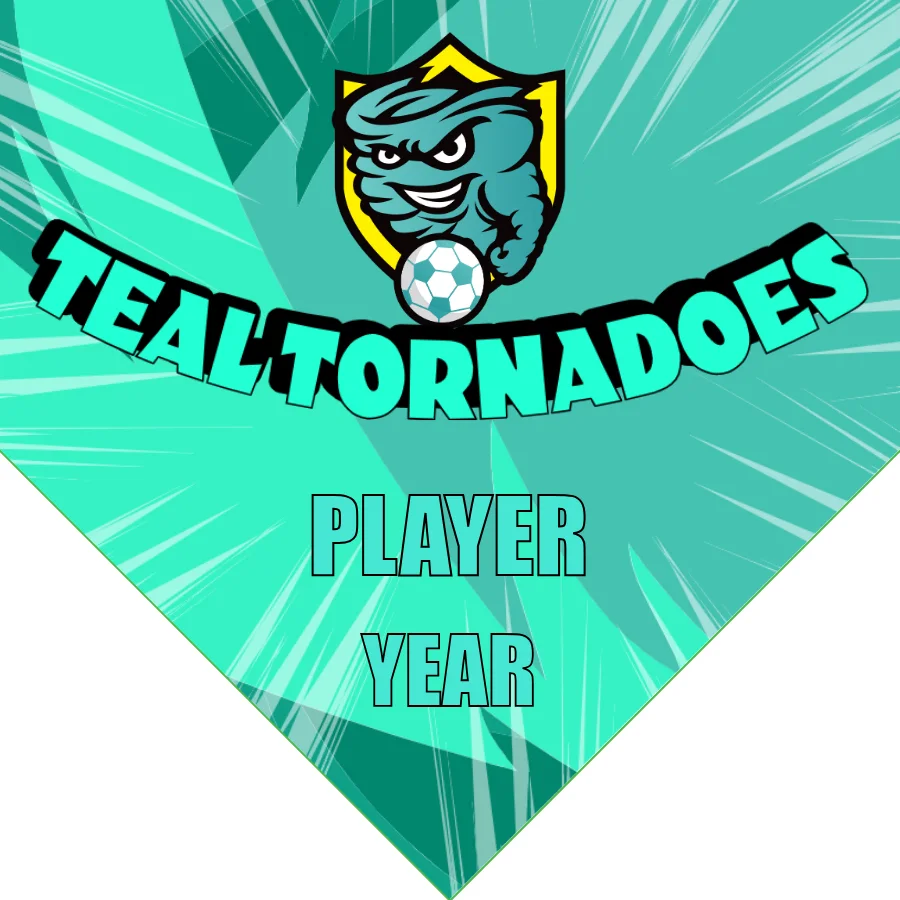 Tornadoes Teal Soccer Banner-soccer-team-banner-ideas-picture