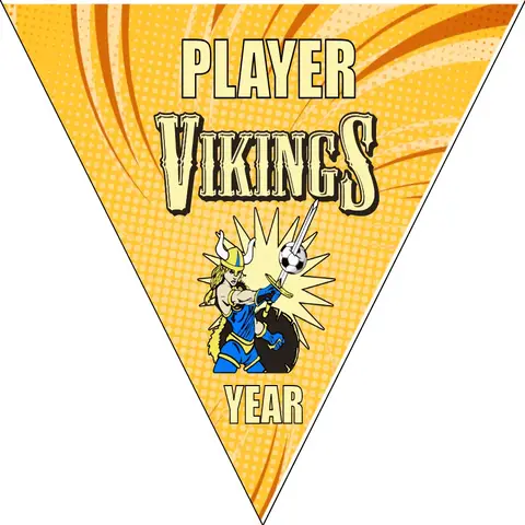 Vikings 2 Soccer Banner