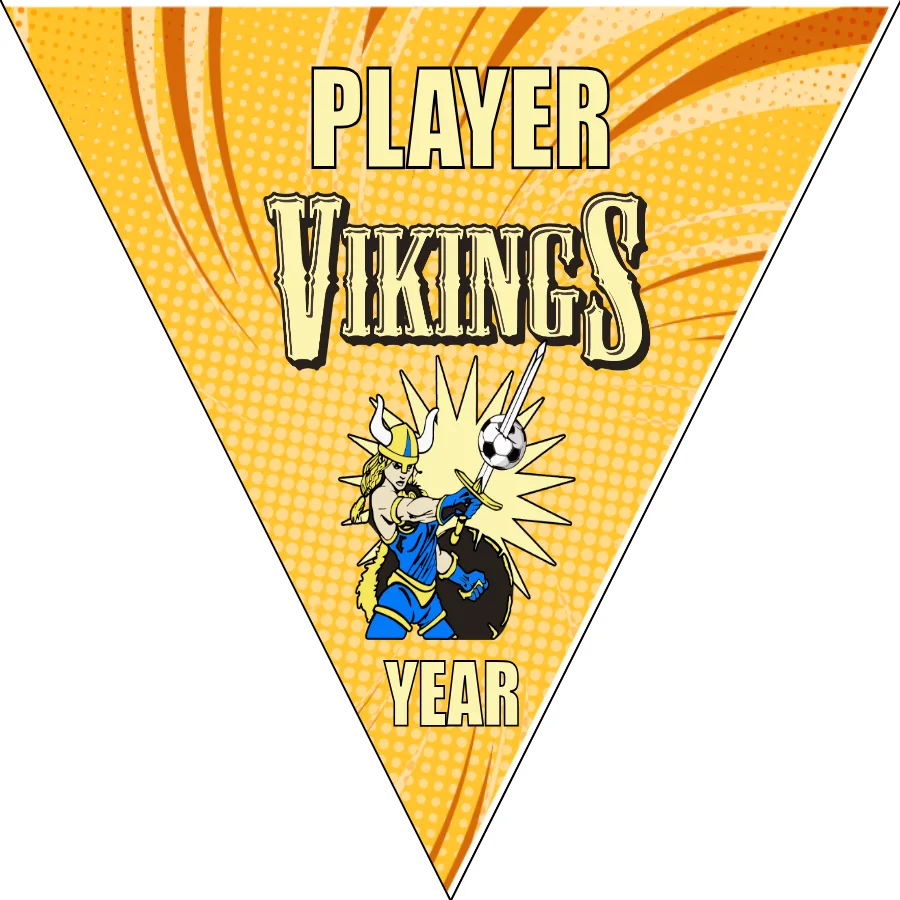 Vikings 2 Soccer Banner