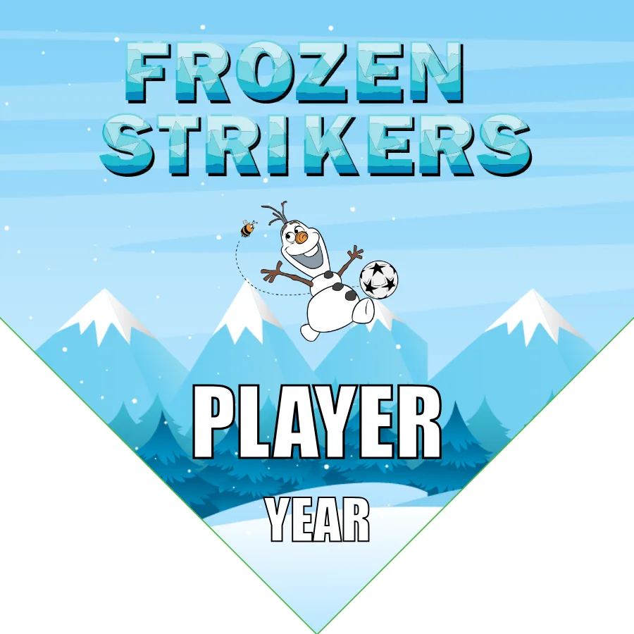 Frozen Strikers Soccer Banner-soccer-banners-fast-picture