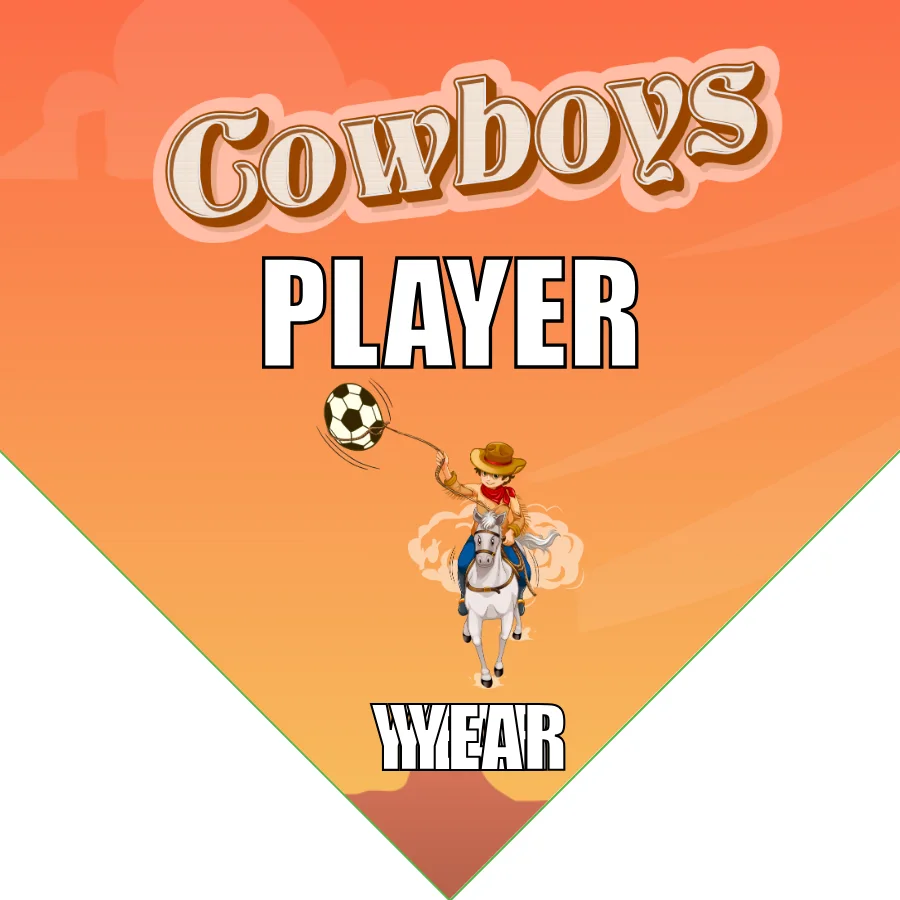 Cowboys Soccer Banner-soccer-banner-pole-kit-picture