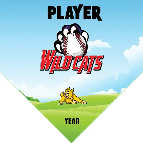 Wild Cats 2 Softball Banner-softball-team-photo-banner-picture