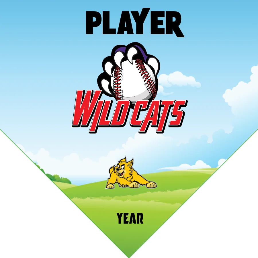 Wild Cats 2 Softball Banner-softball-team-photo-banner-picture