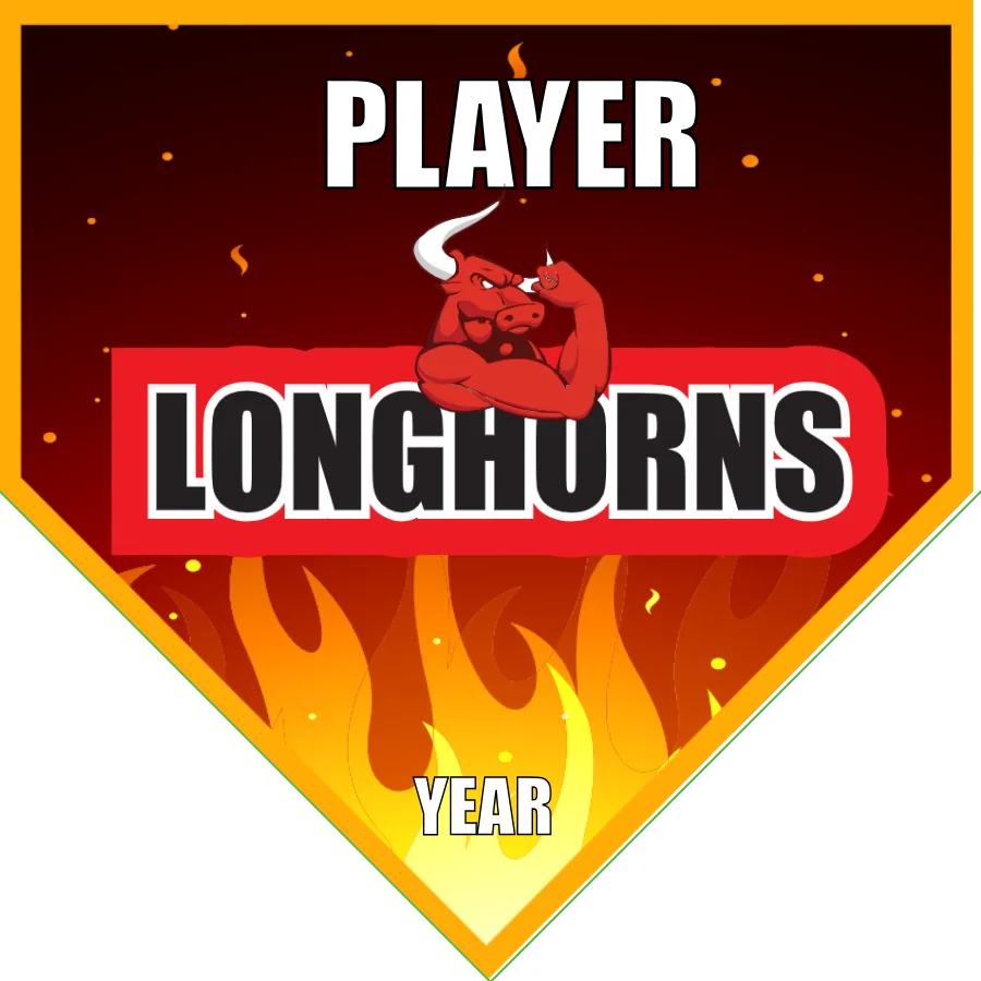 Longhorns Soccer Banner-soccer-team-banners-picture