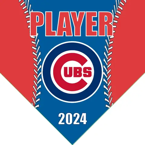 Cubs 1 Baseball Banner