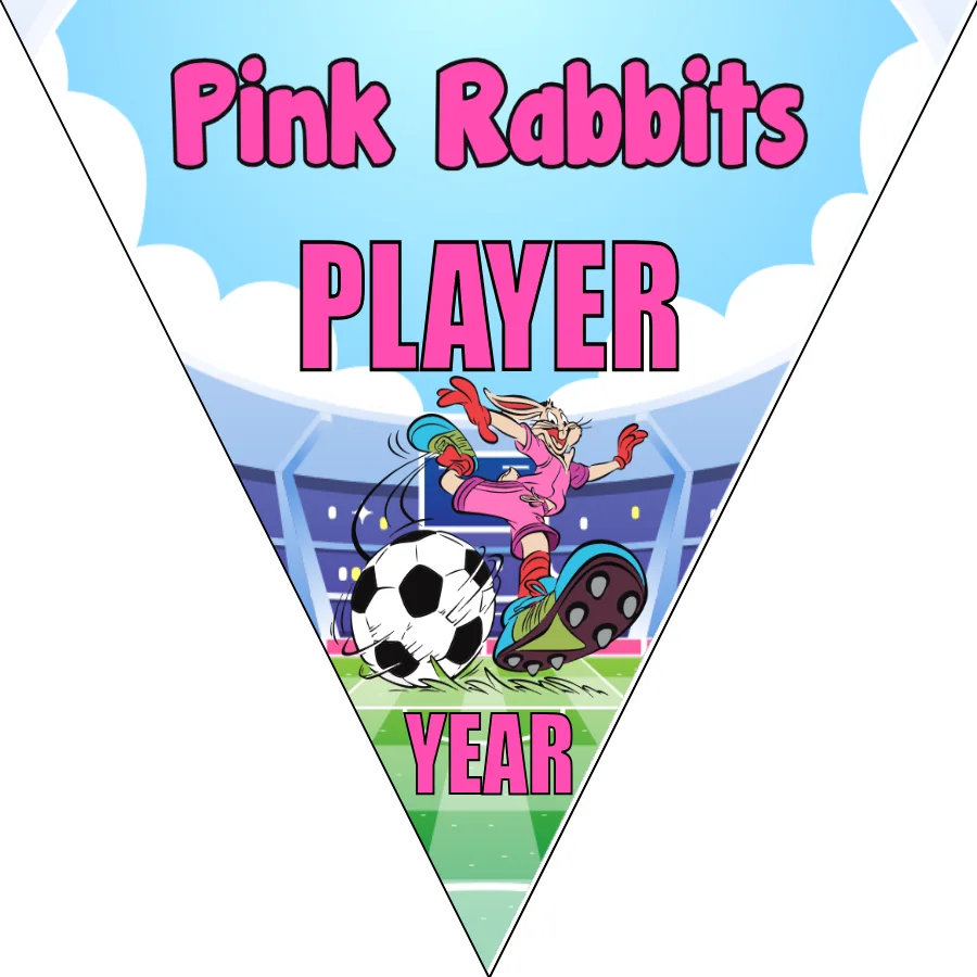 Pink Rabbits Soccer Banner-soccer-banner-stand-picture