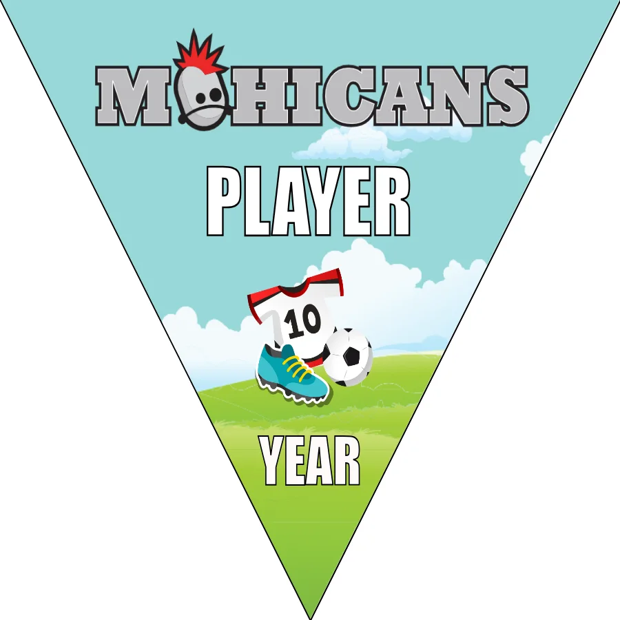 Mohicans Soccer Banner-soccer-banner-stand-picture