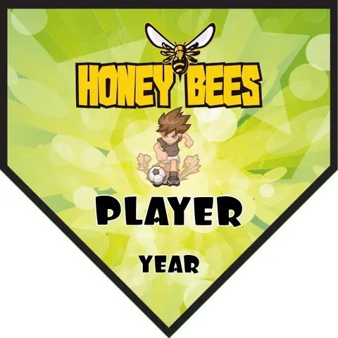 HoneyBee Soccer Banner-how-to-make-soccer-banner-stand-picture