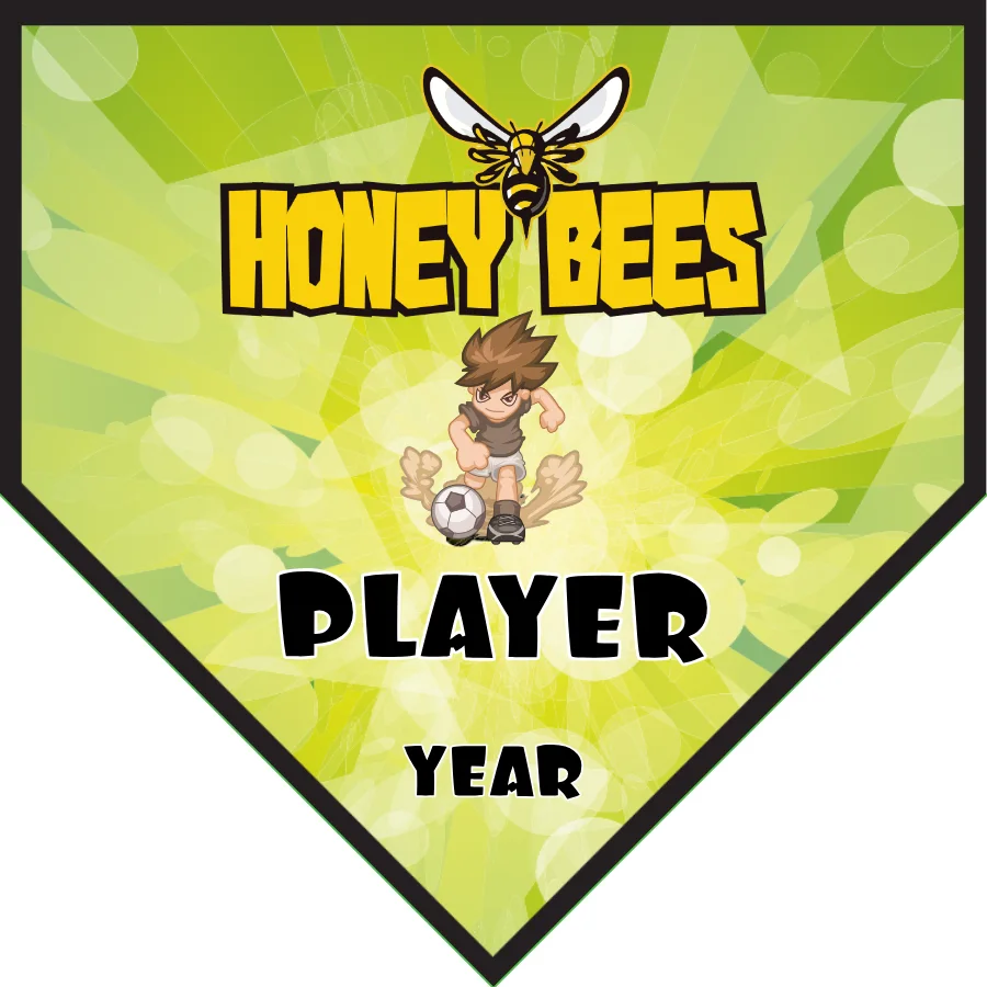 HoneyBee Soccer Banner-how-to-make-soccer-banner-stand-picture