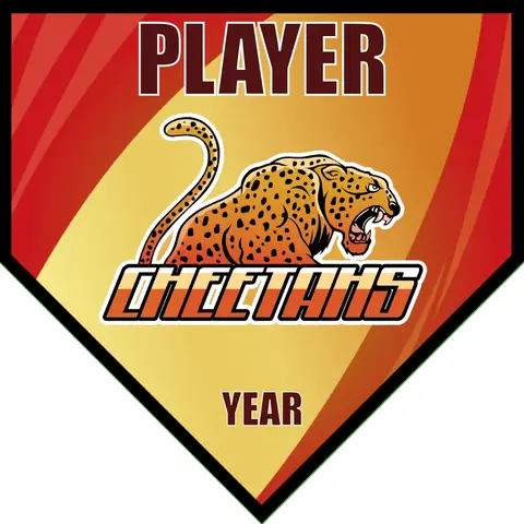 Cheetahs 2-brown-yellow-home-softball-banners-ideas-picture