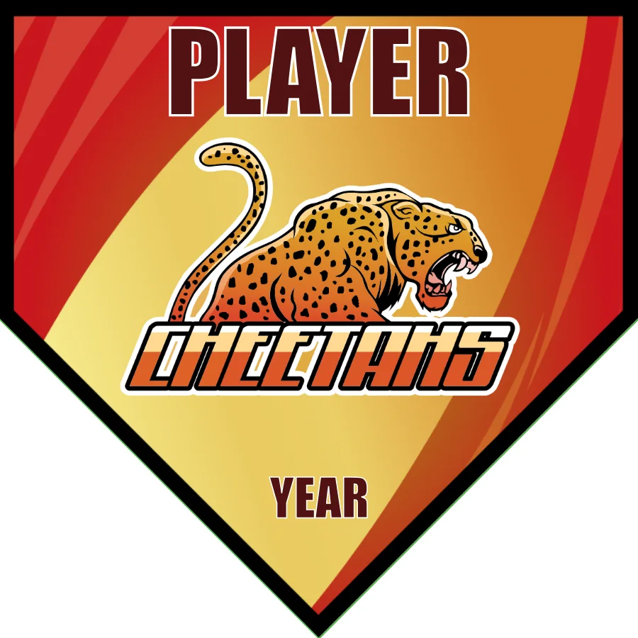 Cheetahs 2-brown-yellow-home-softball-banners-ideas-picture