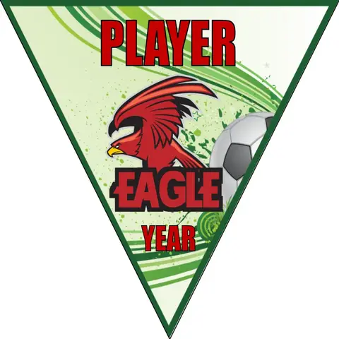 Eagle 01 Soccer Banner-soccer-banners-ideas-picture