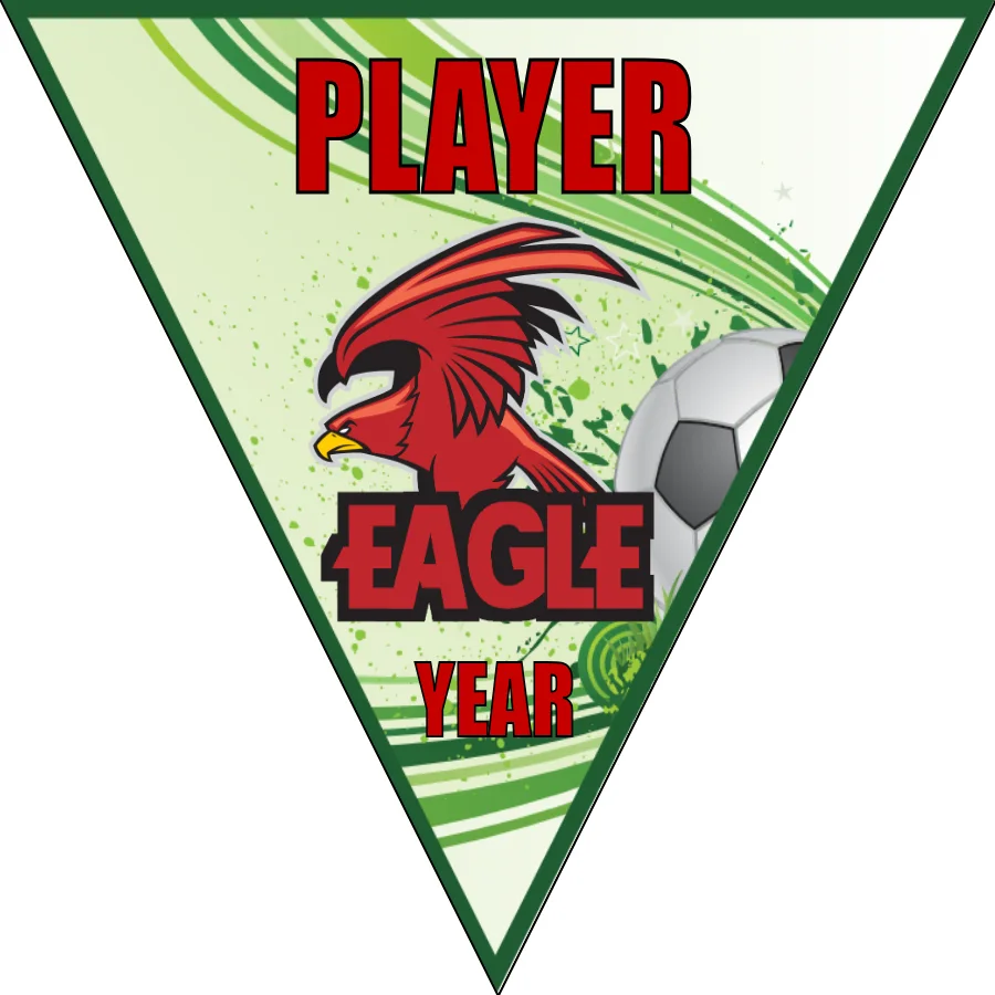 Eagle 01 Soccer Banner-soccer-banners-ideas-picture