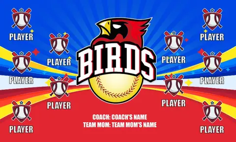 Birds 3 Softball Banner