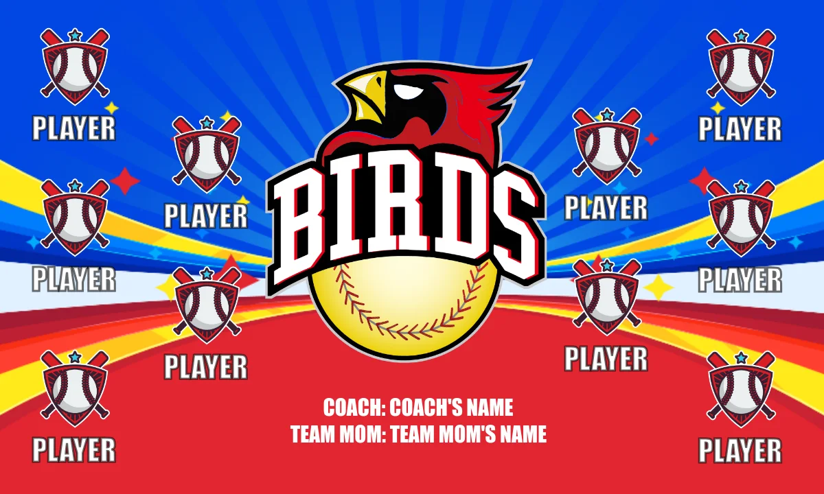 Birds 3 Softball Banner