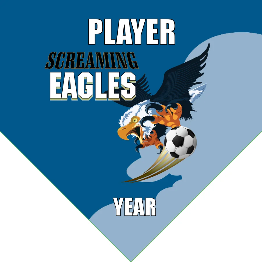 Screaming Eagles Soccer Banner-soccer-banners-and-flags-picture