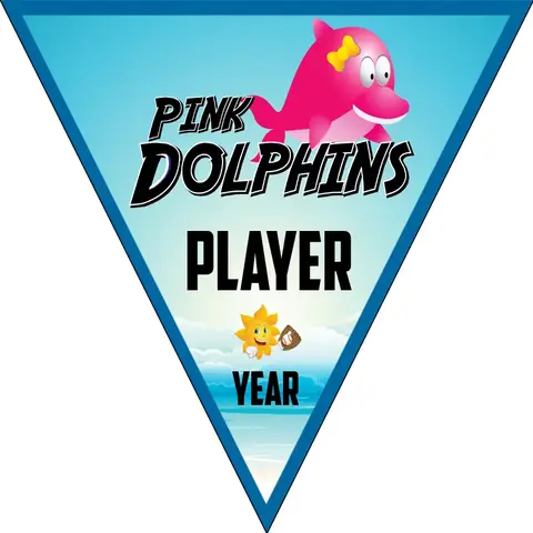 Pink Dolphins 1 Softball Banner-softball-all-star-banners-picture