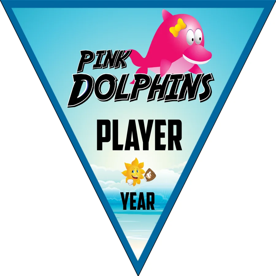 Pink Dolphins 1 Softball Banner-softball-all-star-banners-picture
