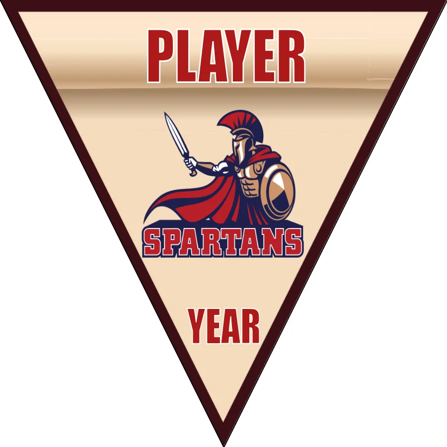 Spartans Soccer Banner-soccer-team-banners-ayso-picture