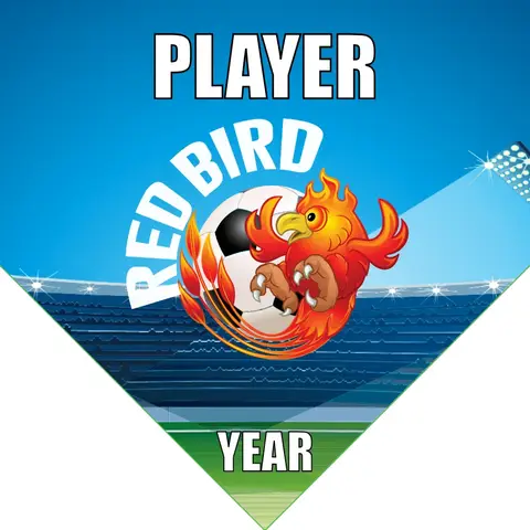Redbird Soccer Banner-soccer-team-banner-picture