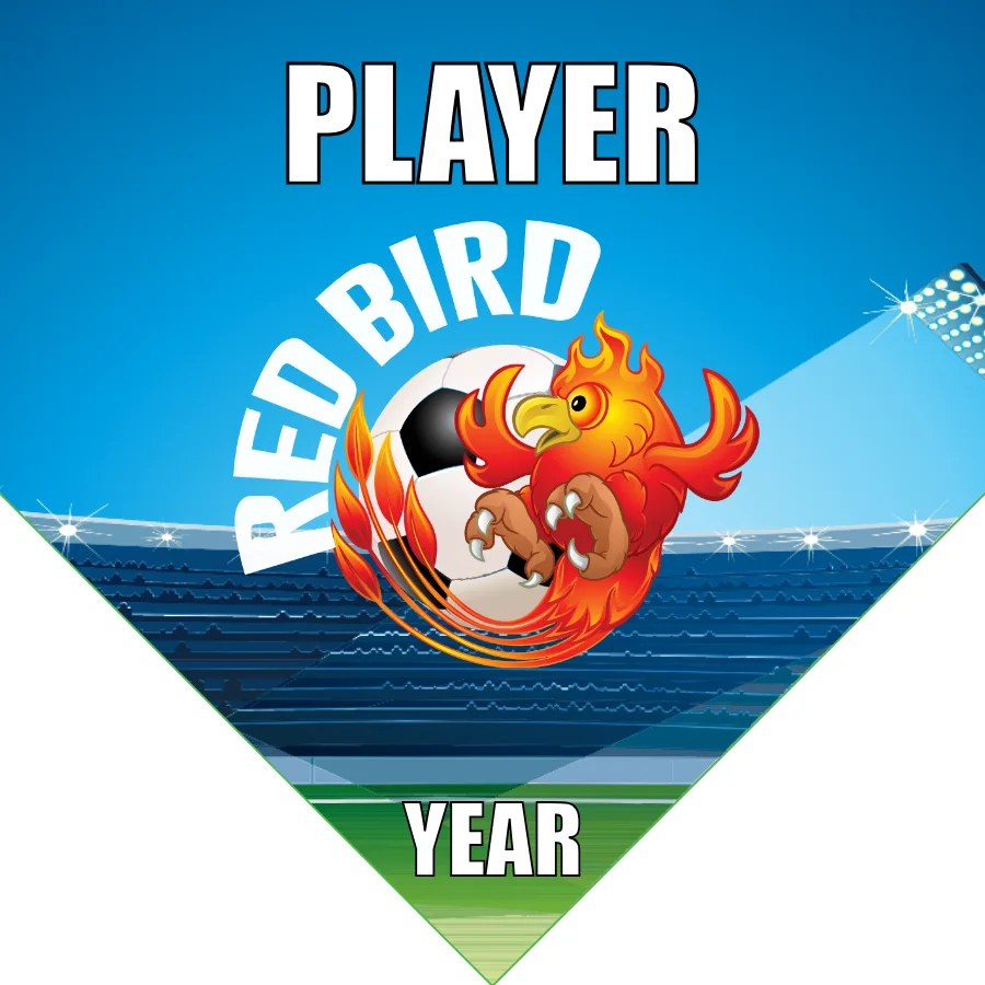 Redbird Soccer Banner-soccer-team-banner-picture