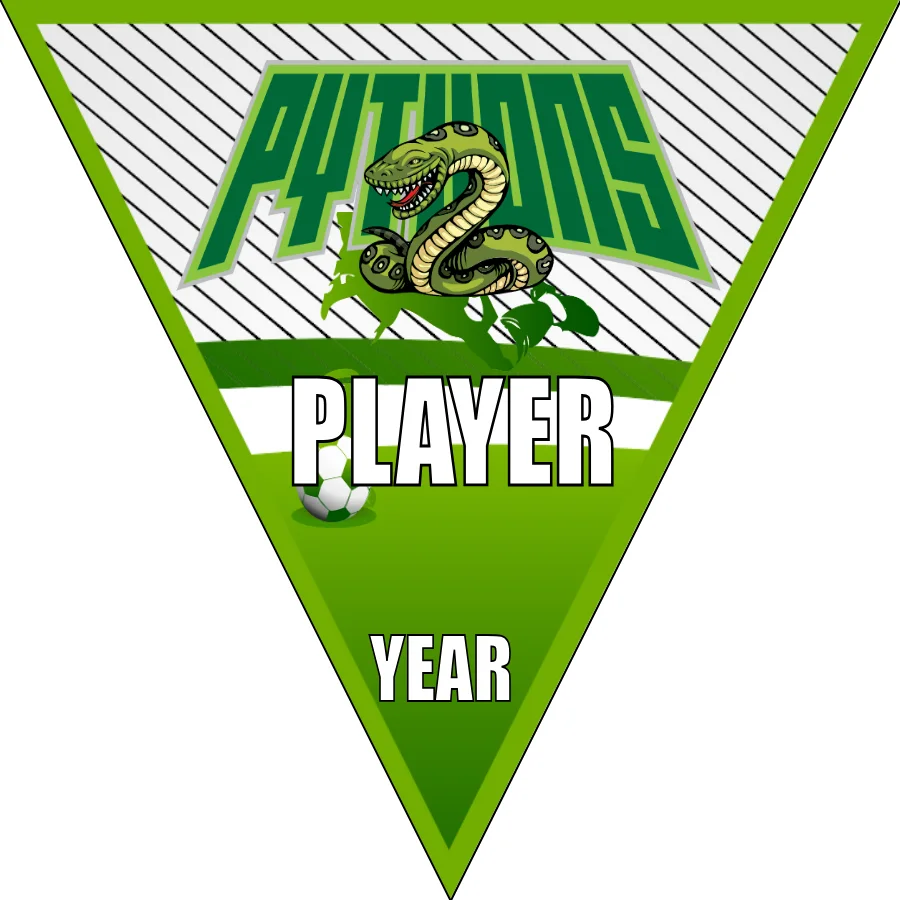 Pythyons Soccer Banner-homemade-soccer-banner-ideas-picture
