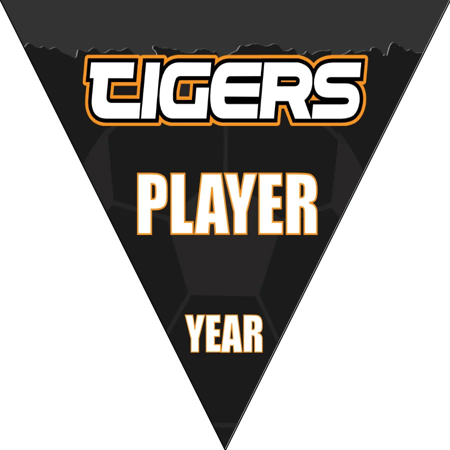 Tigers 4 Soccer Banner-soccer-banners-picture