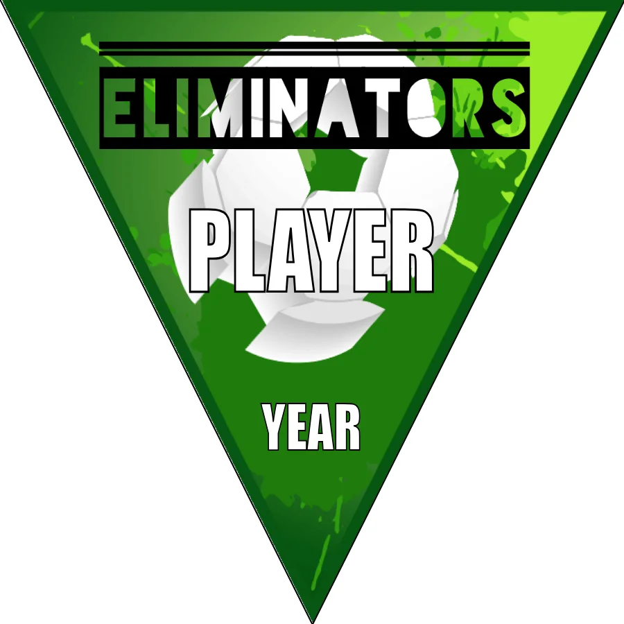 ELIMINATOR Soccer Banner
