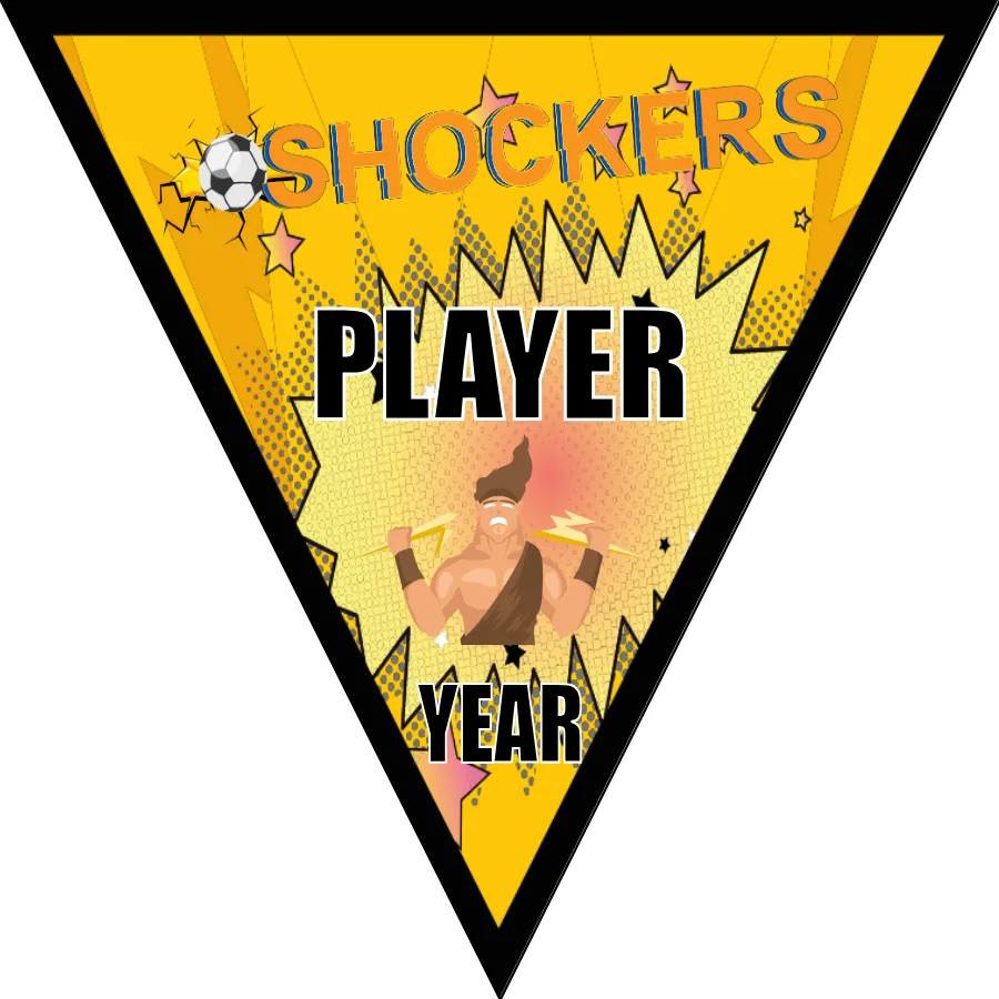 Shockers Soccer Banner-nike-soccer-banner-picture