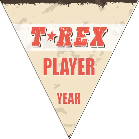 T Rex 3 Soccer Banner-soccer-ball-banner-picture