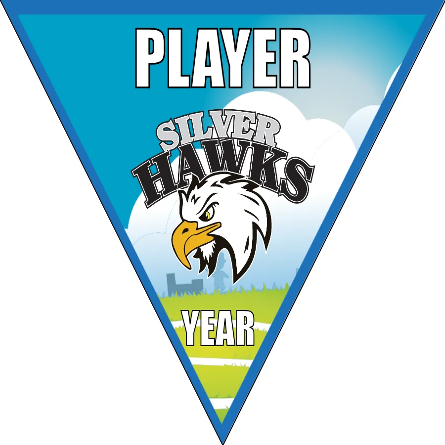 SilverHawks Soccer Banner-soccer-party-banner-picture