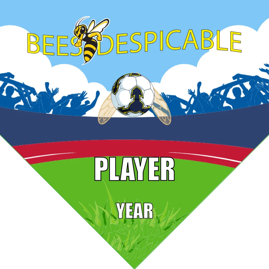 Bees Despicable Soccer Banner-argentina-soccer-banner-picture