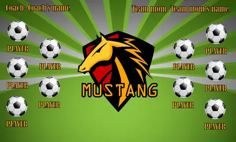 Mustang Soccer Banner-soccer-banner-sacramento-picture