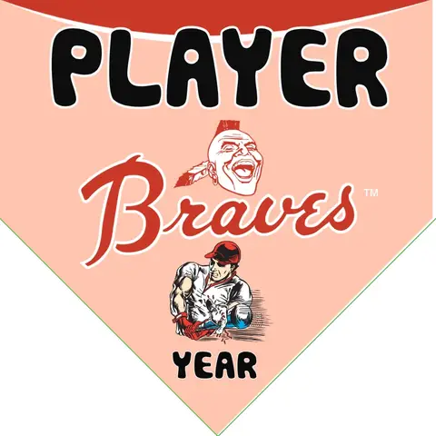 Braves Baseball Banner-baseball-themed-birthday-banner-images