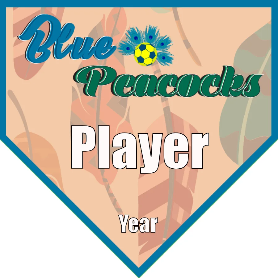 Peacocks Soccer Banner-soccer-team-banner-ideas-picture