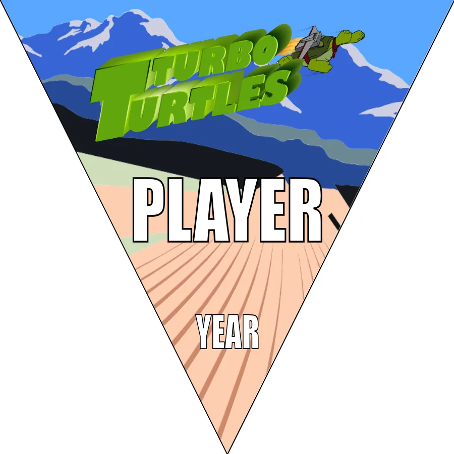 Turtles Turbo Soccer Banner-large-soccer-banners-picture