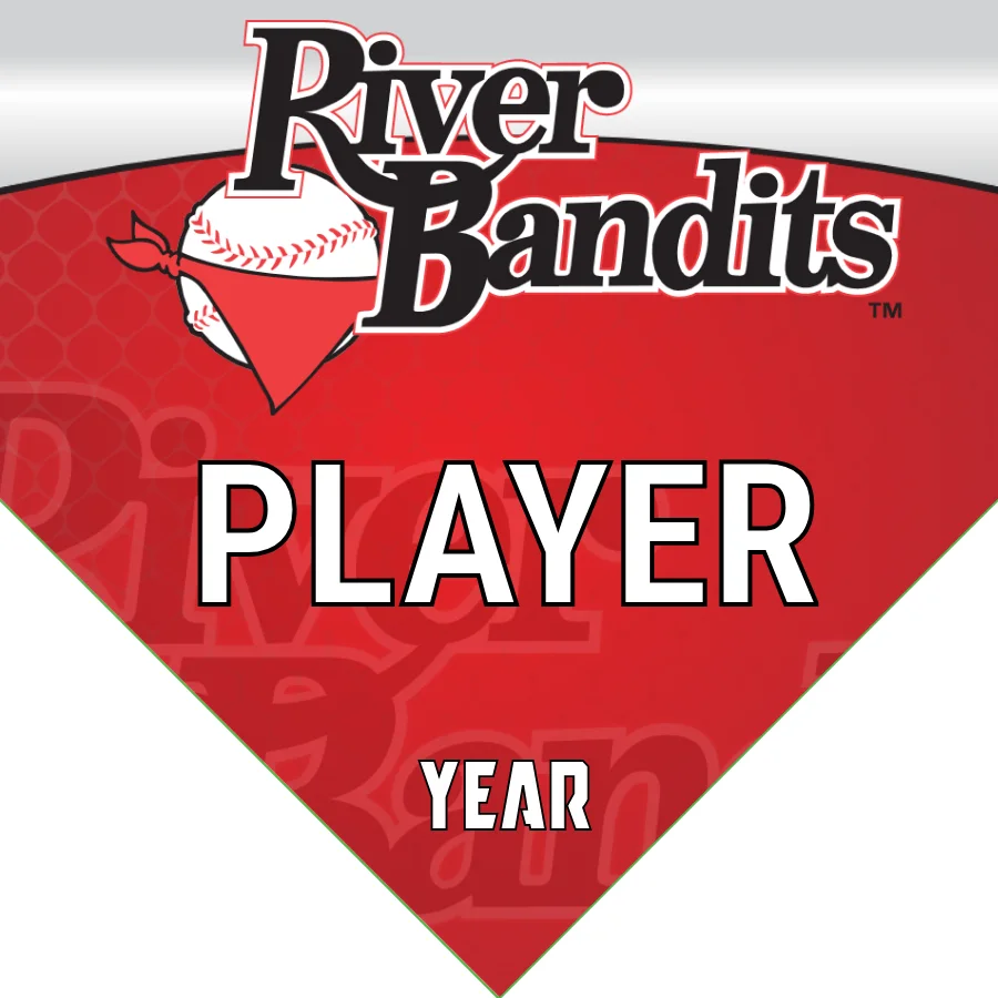 Bandits1 Baseball Banner-baseball-birthday-party-banner-images
