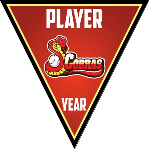 Cobras 2-red-white-triangle-softball-banner-backgrounds-picture