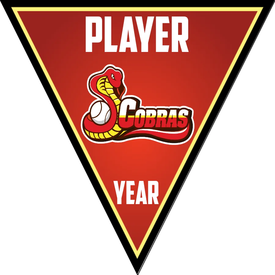 Cobras 2-red-white-triangle-softball-banner-backgrounds-picture