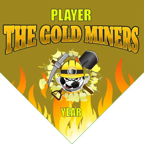 The Gold Miners Soccer Banner-soccer-ball-banner-picture