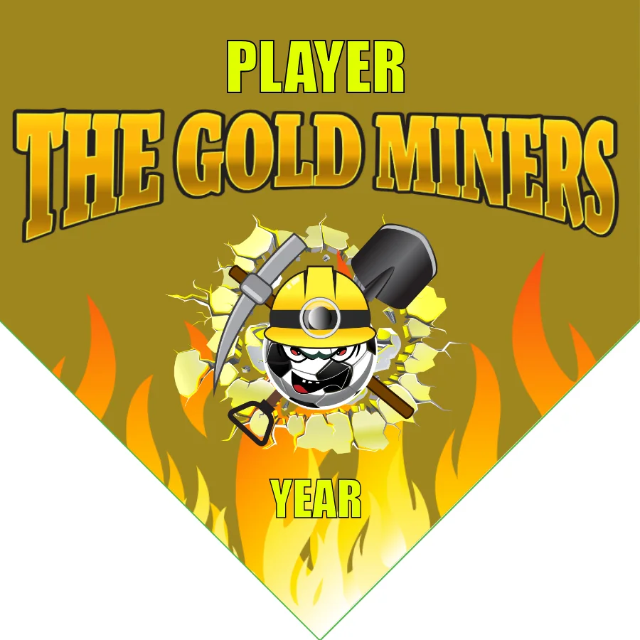 The Gold Miners Soccer Banner-soccer-ball-banner-picture