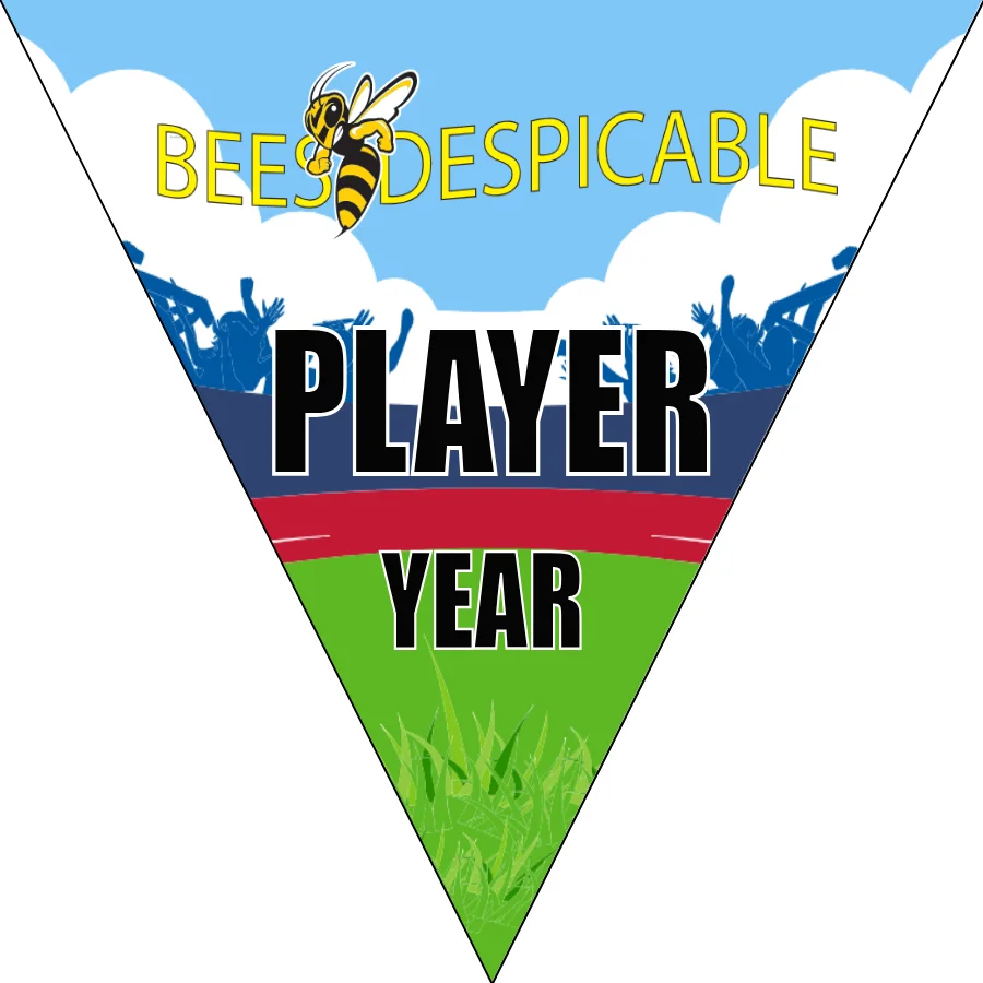 Bees Despicable Soccer Banner-soccer-mom-facebook-banner-picture