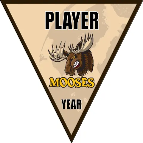 Mooses Soccer Banner-nike-soccer-banner-picture