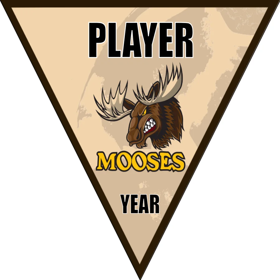Mooses Soccer Banner-nike-soccer-banner-picture