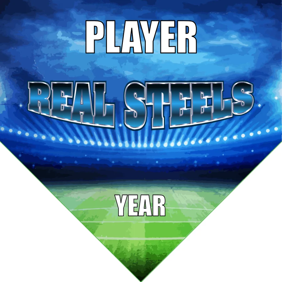 Real Steels Soccer Banner-soccer-team-banner-picture