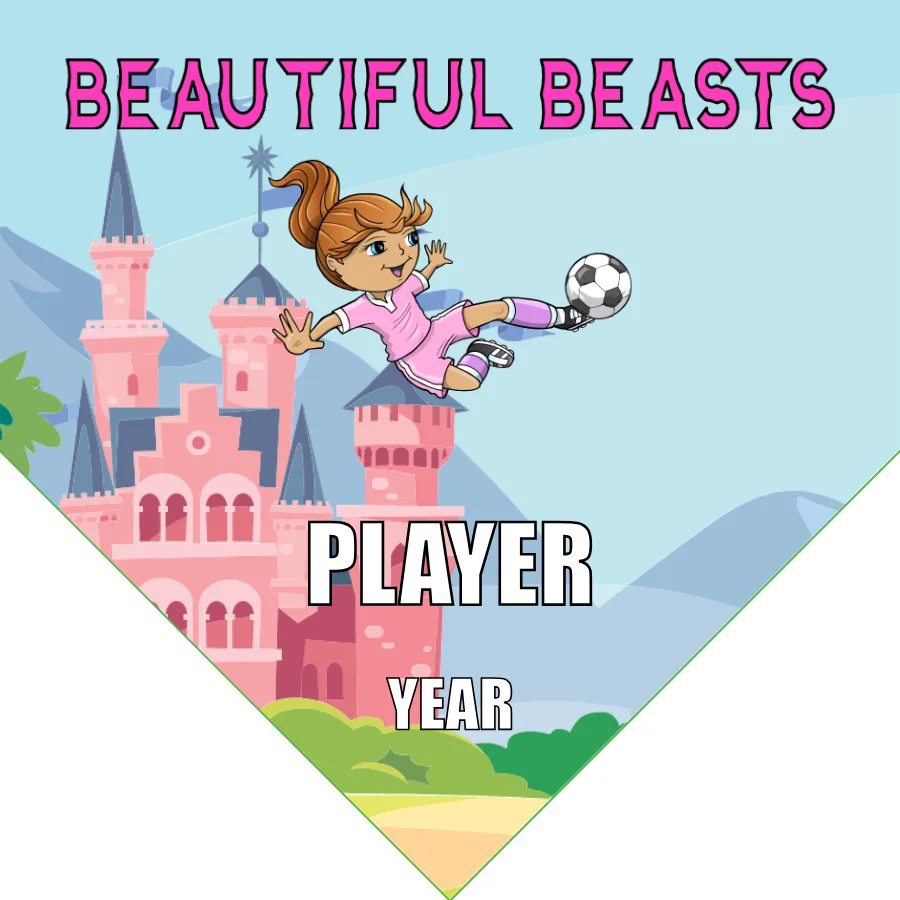 Beautiful Beasts 2 Soccer Banner-ayso-soccer-banner-size-picture