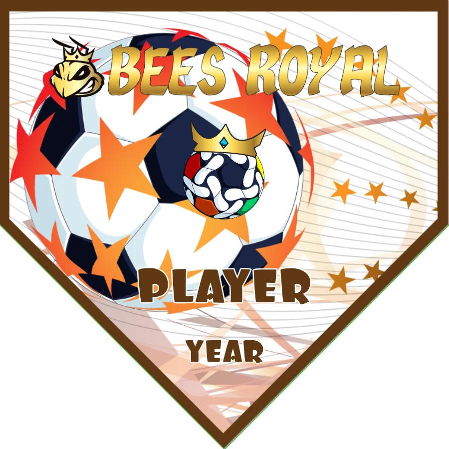 Bees Royal Soccer Banner-create-a-soccer-banner-picture