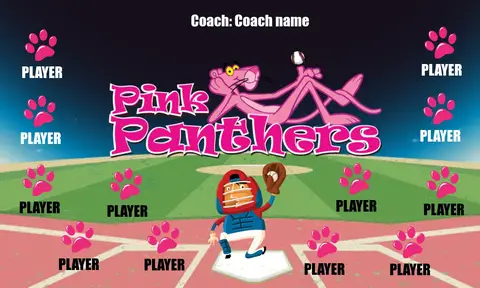 Pink Panthers 1 Softball Banner-softball-team-photo-banner-images